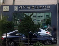 래이동물의료센터