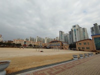 전라초등학교