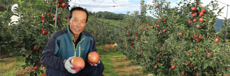 얼음골사과 양지농원