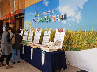 에이치앤피