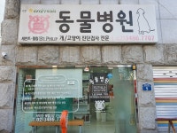 세인트필립동물병원