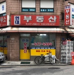 현대부동산