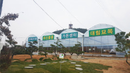대림묘목농원
