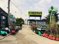 대림묘목농원