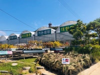 대림묘목농원