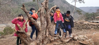 다들바위치유농장