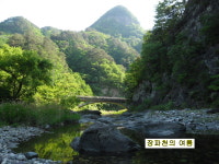 다들바위치유농장