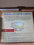 산청꺼먼꿀꿀이