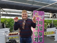 생생딸기체험농장