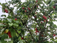 다들바위치유농장