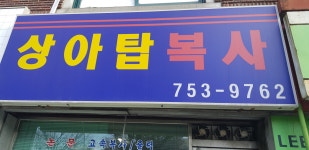 상아탑복사