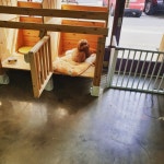 예뻐지개