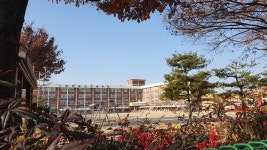 동도초등학교