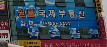 국제부동산