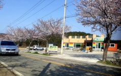 칠색초칼국수