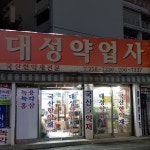 대성약업사