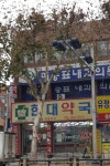 현대약국