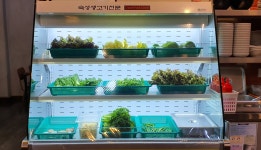 대학촌