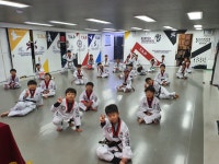 한국체대고려태권도