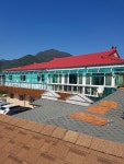 대명
