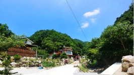 자작나무길펜션