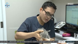 우리들노령동물암센터