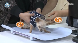 우리들노령동물암센터