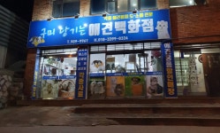 구미당기는애견백화점