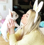 쪼르르 miniteacuppuppy