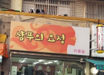 샴푸의요정