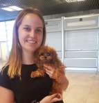 쪼르르 miniteacuppuppy