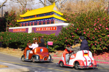 세계자동차&피아노 박물관