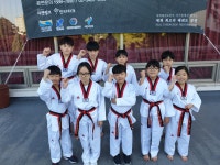경희대현대태권도