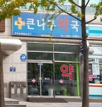 큰나무약국
