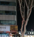 쿵쿵따노래연습장