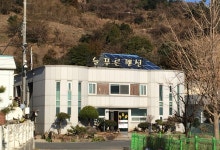 늘푸른펜션