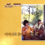 까미노