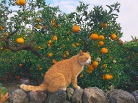 스테이 비갠오후