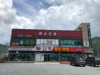 한스드론