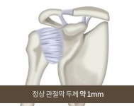 굿본정형외과 재활의학과의원 을지로