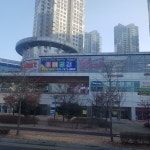 한국종이접기협회 아산와이시티지회