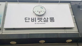단비펫살롱
