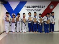 한국체대고려태권도