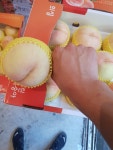 총각네야채청과
