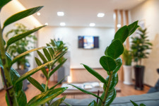 라임정신건강의학과의원