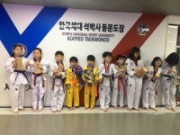 한국체대고려태권도
