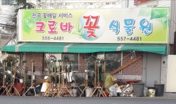 크로바꽃식물원