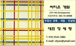 씨티온개발