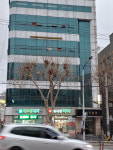 새소망빌딩