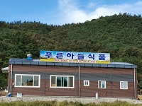 푸른하늘식품